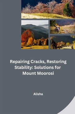 Repairing Cracks, Restoring Stability: Solutions for Mount Moorosi - Alisha