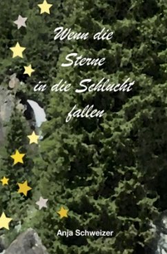 Wenn die Sterne in die Schlucht fallen - Schweizer, Anja