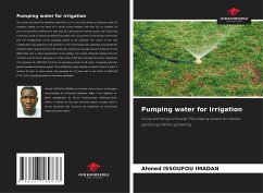 Pumping water for irrigation - ISSOUFOU IMADAN, Ahmed