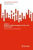 Surface Defects in Wide-Bandgap LiF, SiO2, and ZnO Crystals (eBook, PDF)