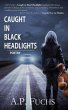 Caught in Black Headlights (eBook, ePUB) - Bild 1