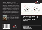 Bonifica del cromo e di altri metalli pesanti (Pb, Ni) nei rifiuti delle concerie