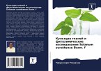 Kul'tura tkanej i fitohimicheskie issledowaniq Solanum surattense Burm. f