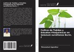 Cultivo de Tejidos y Estudios Fitoquímicos en Solanum surattense Burm. f