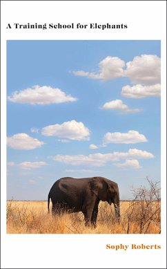 A Training School for Elephants - Roberts, Sophy