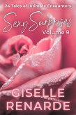 Sexy Surprises Volume 9: 24 Tales of Intimate Encounters (eBook, ePUB)