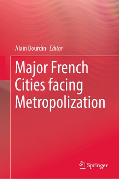 Major French Cities facing Metropolization (eBook, PDF)