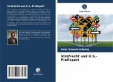 Strafrecht und U.S.-Profisport