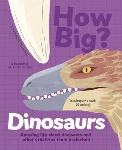 How Big? Dinosaurs - Dixon, Dougal