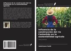 Influencia de la construcción del río Castanhão en la sostenibilidad agrícola - Seidi, Suleimane