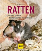 Ratten (Mängelexemplar)