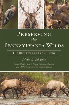 Cover Preserving the Pennsylvania Wilds (eBook, ePUB)