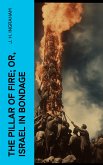 The Pillar of Fire; or, Israel in Bondage (eBook, ePUB)