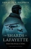 Drops of Glass (The Shards of Lafayette, #1) (eBook, ePUB)
