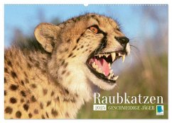 Raubkatzen: Geschmeidige Jäger (Wandkalender 2025 DIN A2 quer), CALVENDO Monatskalender