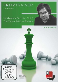 Middlegame Secrets - Vol. 3, DVD-ROM