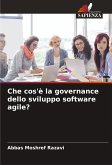 Che cos'è la governance dello sviluppo software agile?