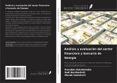 Análisis y evaluación del sector financiero y bancario de Georgia