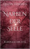 Narben der Seele (eBook, ePUB)