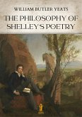 The Philosophy of Shelley's Poetry (eBook, ePUB)