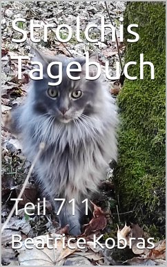 Strolchis Tagebuch - Teil 711 (eBook, ePUB) - Kobras, Beatrice