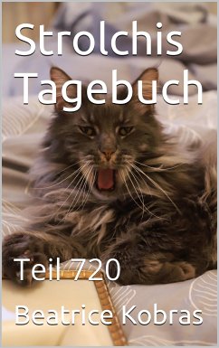 Strolchis Tagebuch - Teil 720 (eBook, ePUB) - Kobras, Beatrice