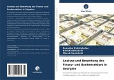 Analyse und Bewertung des Finanz- und Bankensektors in Georgien