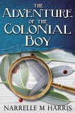 The Adventure of the Colonial Boy (eBook, ePUB)