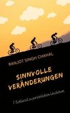 Sinnvolle Veränderungen (eBook, ePUB)