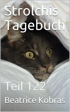 Strolchis Tagebuch - Teil 122 (eBook, ePUB) - Kobras, Beatrice