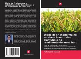 Efeito de Trichoderma no estabelecimento das plântulas e no rendimento do arroz boro