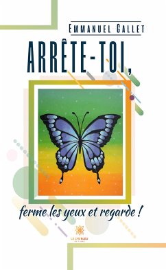 Arrête-toi, ferme les yeux et regarde ! (eBook, ePUB) - Gallet, Emmanuel