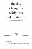 The Day I Bought a Teddy Bear and a Vibrator