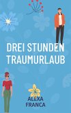 Drei Stunden Traumurlaub (eBook, ePUB)