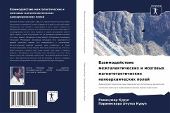 Vzaimodejstwie mezhgalakticheskih i mozgowyh magnitotakticheskih nanoarhaicheskih polej - Kurup, Rawikumar;Achutha Kurup, Parameswara