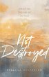 Not Destroyed - Bild 1