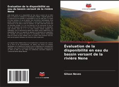 Évaluation de la disponibilité en eau du bassin versant de la rivière Nene - Neves, Gilson