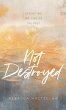 Not Destroyed - Bild 1
