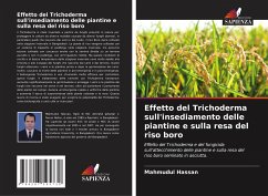 Effetto del Trichoderma sull'insediamento delle piantine e sulla resa del riso boro - Hassan, Mahmudul