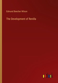 The Development of Renilla