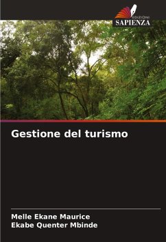 Cover Gestione del turismo
