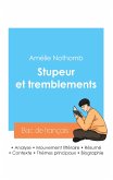 Réussir son Bac de français 2024 : Analyse du roman Stupeur et tremblements de Amélie Nothomb