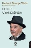 Efendi Uyandiginda;New York Times Bestseller