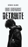 Une enfance détruite (eBook, ePUB)