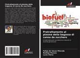 Pretrattamento al plasma della bagassa di canna da zucchero