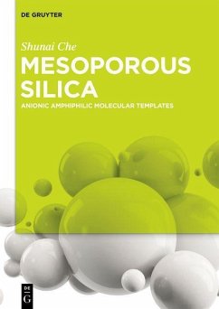 Cover Mesoporous Silica (eBook, ePUB)