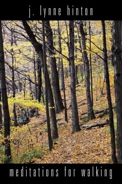 Meditations for Walking - Hinton, J Lynne