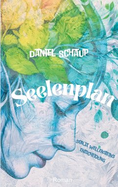 Seelenplan - Schaup, Daniel