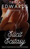 Elicit Ecstasy (eBook, ePUB)