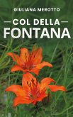 Col della Fontana (eBook, ePUB)